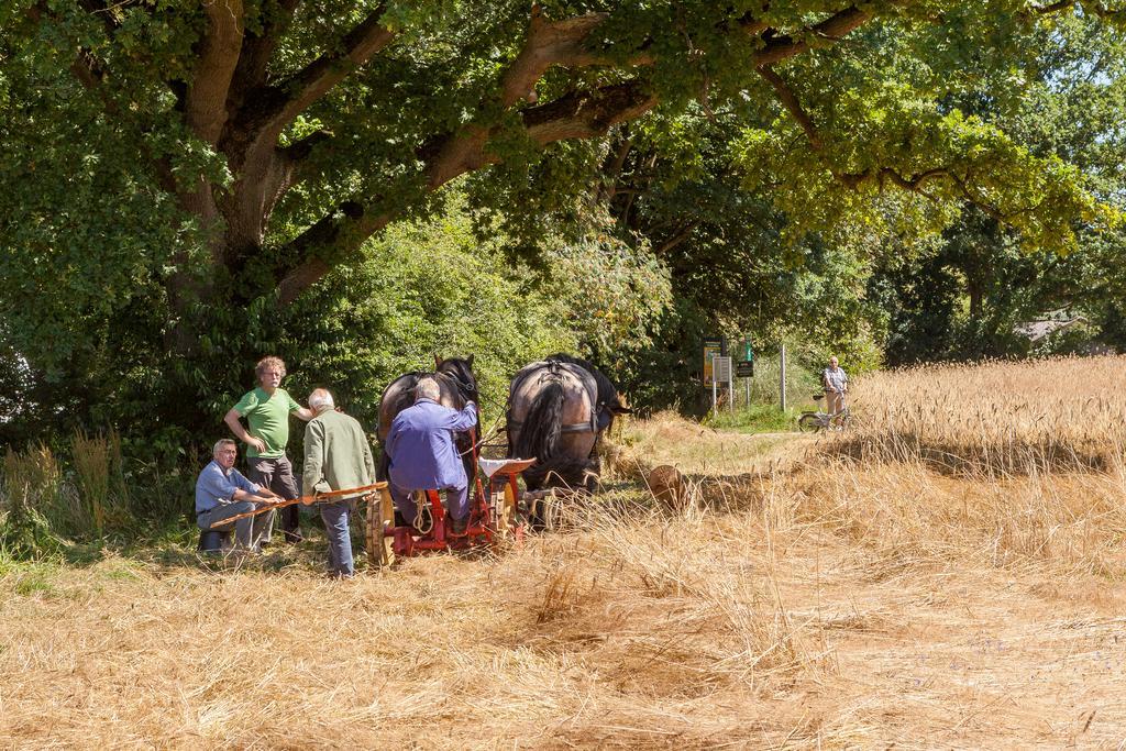 Hoeve Springendal Ootmarsum Exteriér fotografie