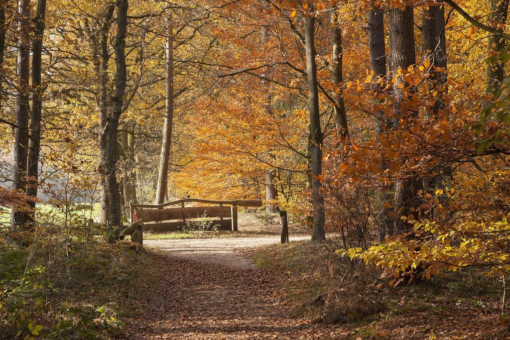 Hoeve Springendal Ootmarsum Exteriér fotografie