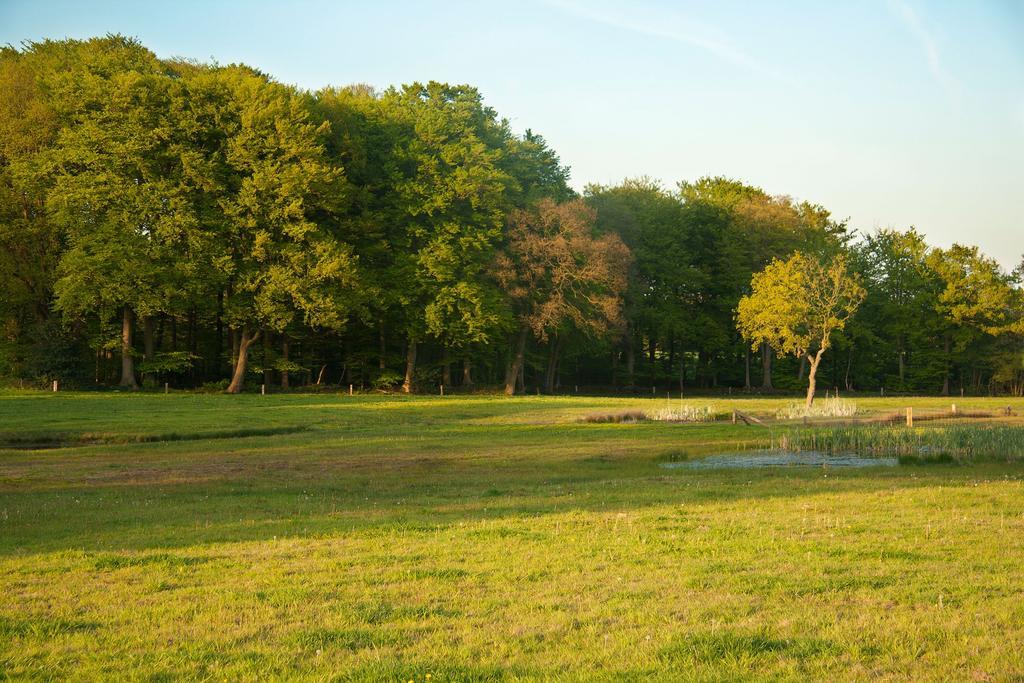 Hoeve Springendal Ootmarsum Exteriér fotografie