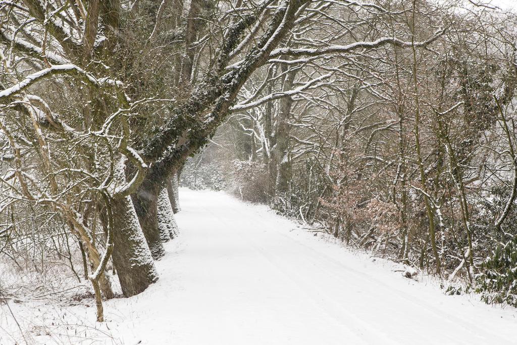 Hoeve Springendal Ootmarsum Exteriér fotografie