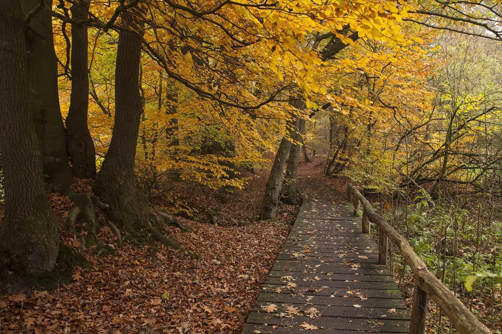 Hoeve Springendal Ootmarsum Exteriér fotografie
