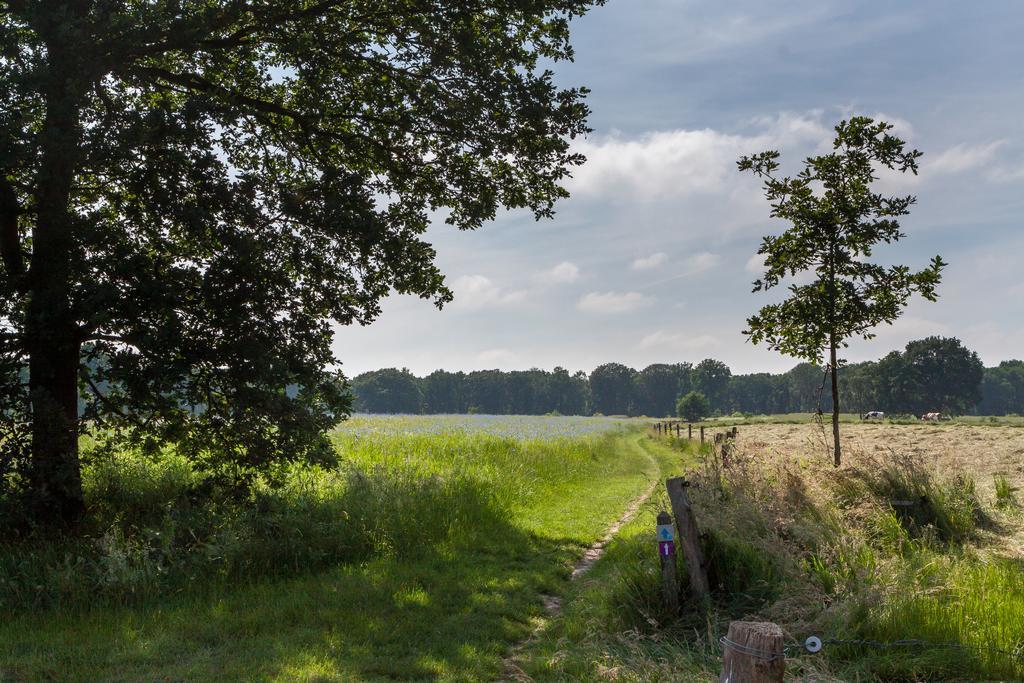 Hoeve Springendal Ootmarsum Exteriér fotografie