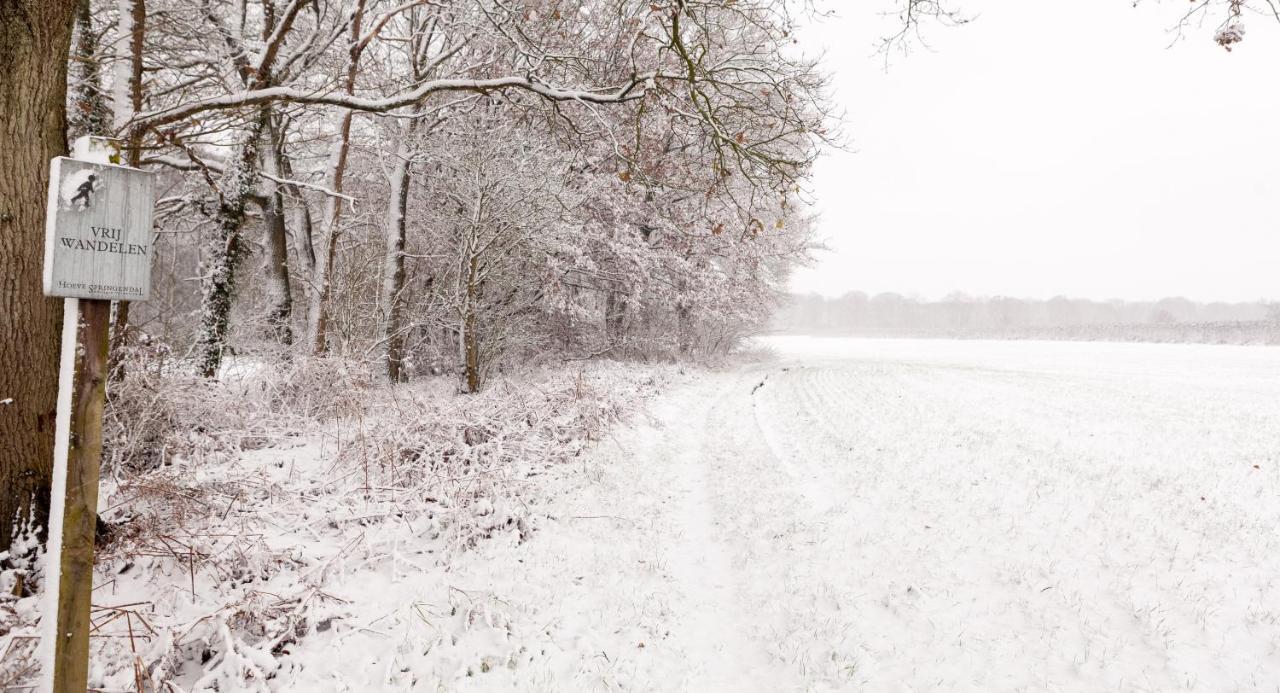 Hoeve Springendal Ootmarsum Exteriér fotografie